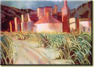 Original watercolor created by local artist, Helen Mehl.  Made especially for the Old Koloa Sugar Mill Run.